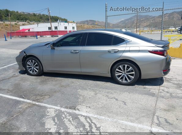 58ACA1C18MU002005 2021 LEXUS ES 300H Gray 