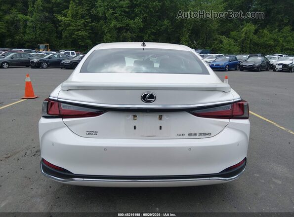 58AD11D16MU004581 2021 LEXUS ES 250 White 