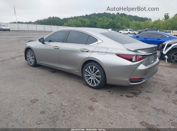 58AD21B14LU011785 2020 LEXUS ES 300H Gray Հետևի ձախ