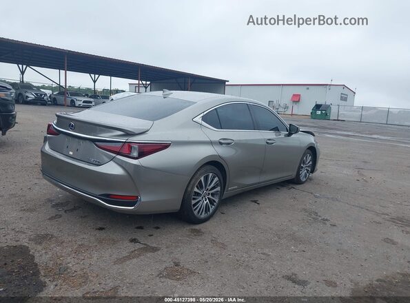 58AD21B14LU011785 2020 LEXUS ES 300H Gray Հետևի աջ