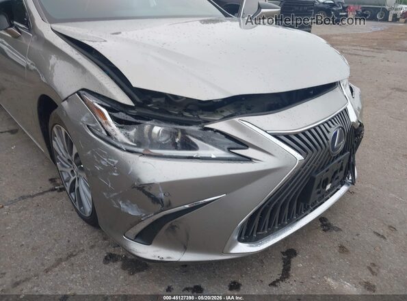 58AD21B14LU011785 2020 LEXUS ES 300H Gray 
