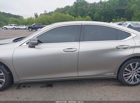 58AD21B14LU011785 2020 LEXUS ES 300H Gray 