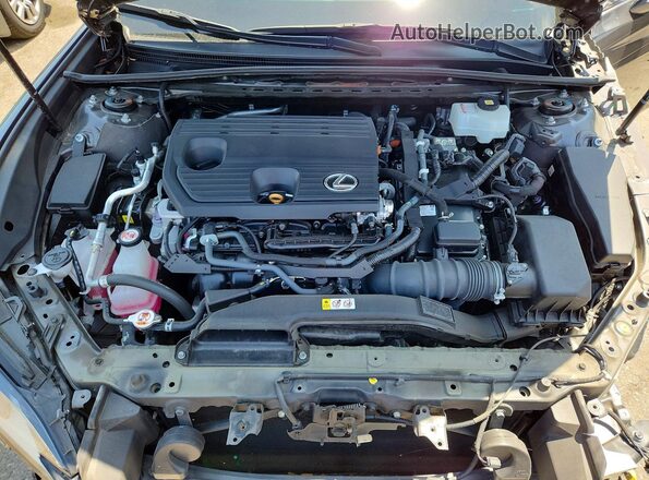 58ADA1C13NU024452 2022 LEXUS ES Gray Սալոնի հետևի տեսք