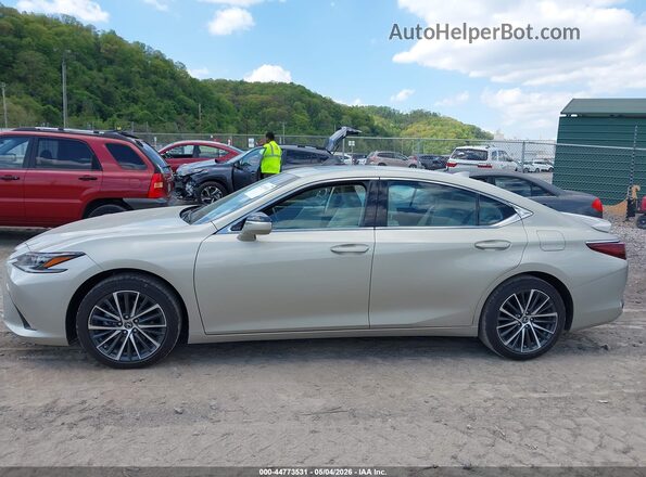 58ADA1C19PU036673 2023 LEXUS ES 300H Beige 360 interior view