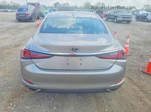 58ADZ1B11LU060874 2020 LEXUS ES Beige Rear view