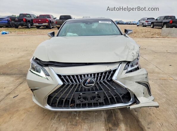 58ADZ1B17RU167484 2024 LEXUS ES Beige Vista frontal