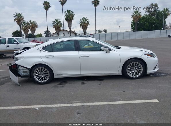 58AEA1C1XMU009143 2021 LEXUS ES 300H White Вид задньої частини салону