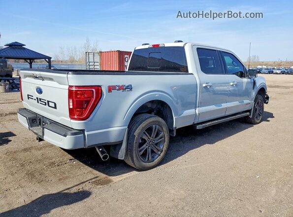 1FTFW1ED4PFA67539 2023 FORD F150 Gray 