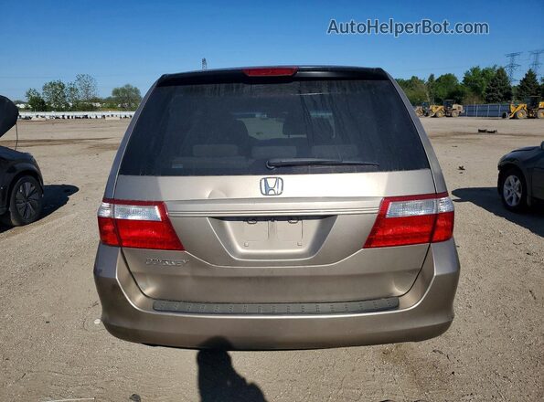 5FNRL38267B001879 2007 HONDA ODYSSEY Tan Widok z tyłu