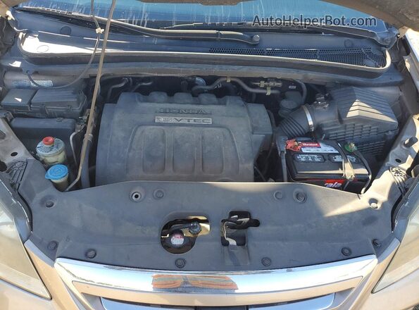 5FNRL38267B001879 2007 HONDA ODYSSEY Tan Widok wnętrza z tyłu