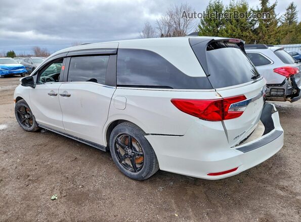 5FNRL6H49LB500754 2020 HONDA ODYSSEY Белый Задняя левая четверть