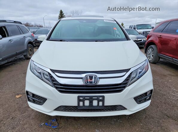 5FNRL6H49LB500754 2020 HONDA ODYSSEY Белый Вид спереди
