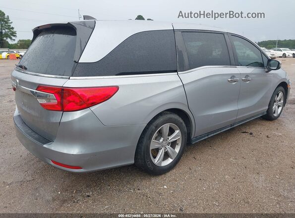 5FNRL6H55KB018354 2019 HONDA ODYSSEY Silver Задня права чверть