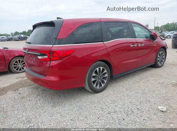 5FNRL6H60PB019850 2023 HONDA ODYSSEY Maroon Задня права чверть