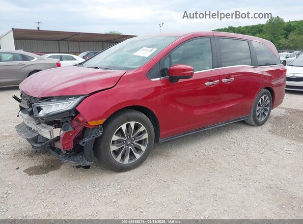 5FNRL6H60PB019850 2023 HONDA ODYSSEY Maroon Передня ліва чверть