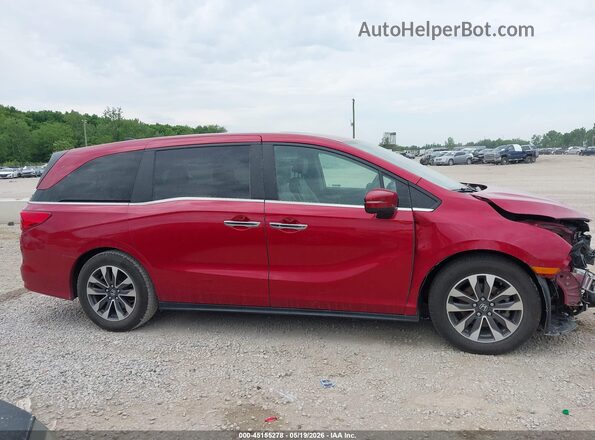 5FNRL6H60PB019850 2023 HONDA ODYSSEY Maroon Вид задньої частини салону