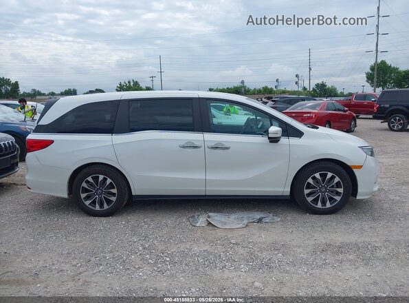 5FNRL6H60PB030282 2023 HONDA ODYSSEY White Սալոնի հետևի տեսք