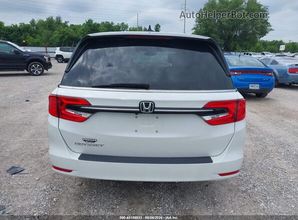 5FNRL6H60PB030282 2023 HONDA ODYSSEY White 