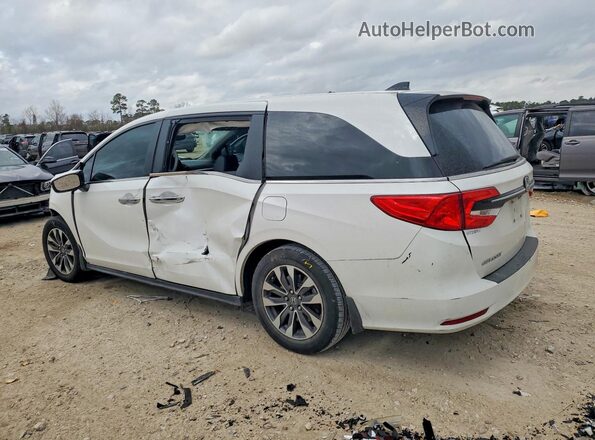 5FNRL6H60RB069540 2024 HONDA ODYSSEY Белый 