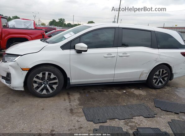 5FNRL6H60TB005666 2026 HONDA ODYSSEY Белый Вид спереди