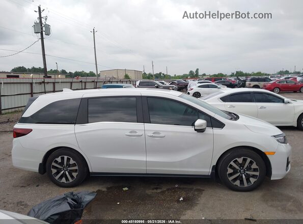5FNRL6H60TB005666 2026 HONDA ODYSSEY Белый Вид задней части салона