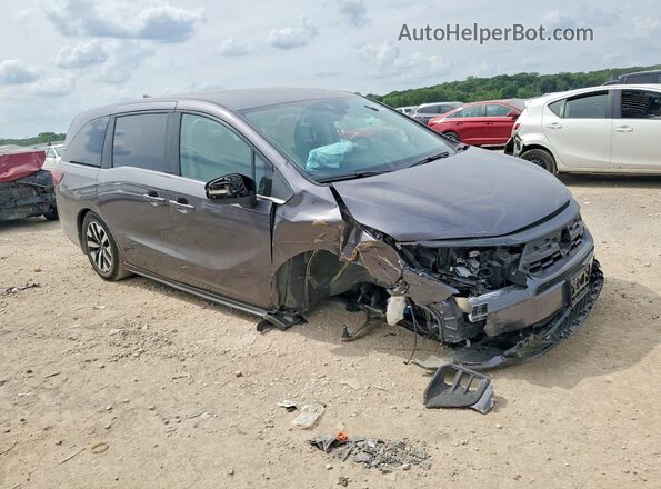 5FNRL6H61TB007300 2026 HONDA ODYSSEY Gray 