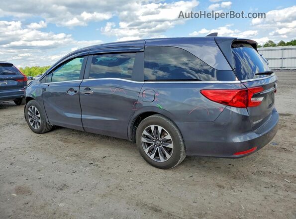 5FNRL6H62RB001711 2024 HONDA ODYSSEY Gray უკანა მარცხენა