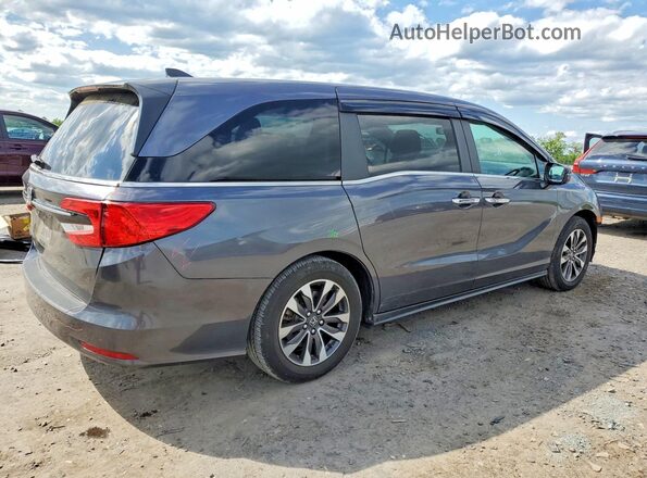 5FNRL6H62RB001711 2024 HONDA ODYSSEY Gray უკანა მარჯვენა