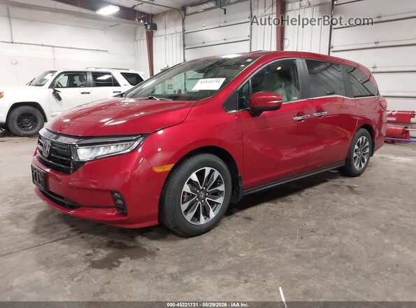 5FNRL6H62RB045417 2024 HONDA ODYSSEY Red Przód lewy