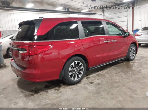 5FNRL6H62RB045417 2024 HONDA ODYSSEY Red Tył prawy