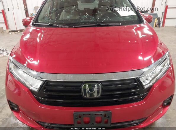 5FNRL6H62RB045417 2024 HONDA ODYSSEY Red Widok z przodu