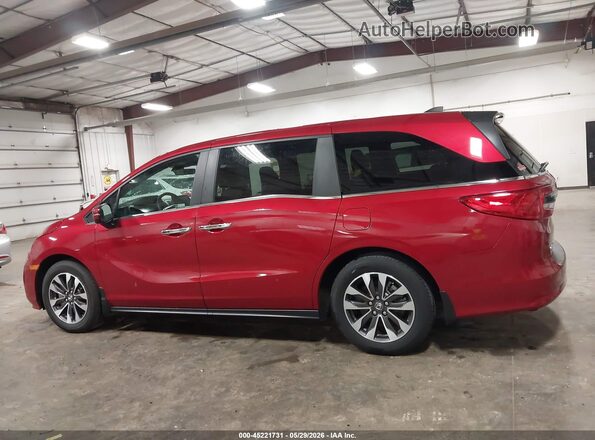 5FNRL6H62RB045417 2024 HONDA ODYSSEY Red Widok wnętrza 360 stopni