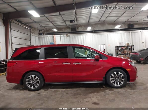 5FNRL6H62RB045417 2024 HONDA ODYSSEY Red Widok wnętrza z tyłu