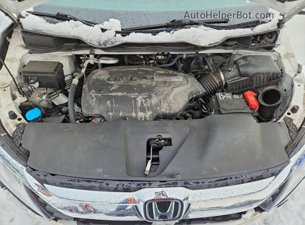 5FNRL6H64LB505541 2020 HONDA ODYSSEY White 
