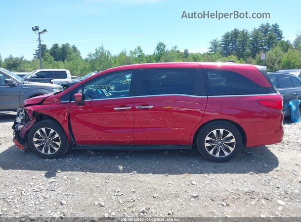 5FNRL6H64RB045404 2024 HONDA ODYSSEY Red 360 interior view