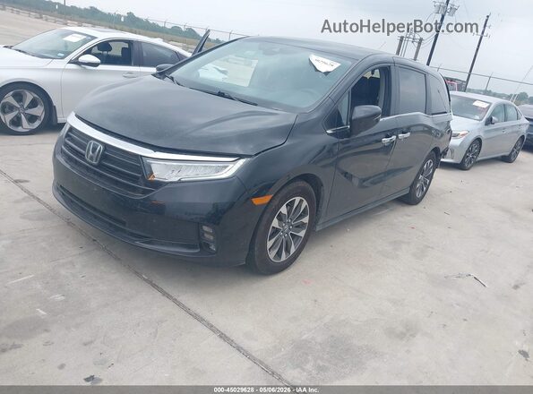 5FNRL6H65RB049056 2024 HONDA ODYSSEY Black Przód lewy