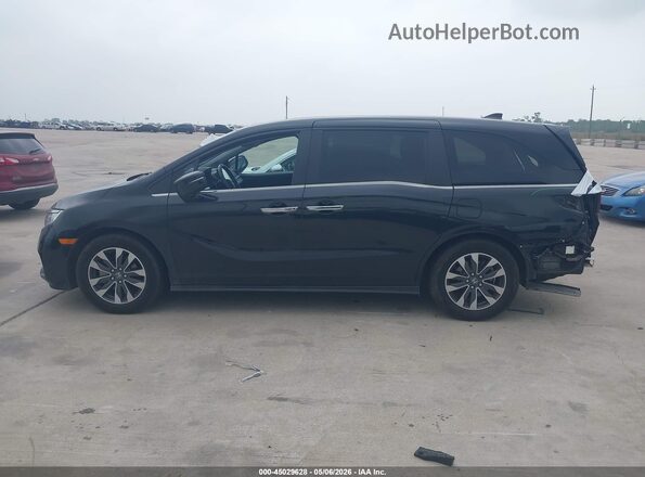 5FNRL6H65RB049056 2024 HONDA ODYSSEY Black Widok wnętrza 360 stopni