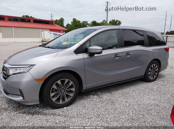 5FNRL6H65RB052393 2024 HONDA ODYSSEY Gray Vista interior de 360 grados