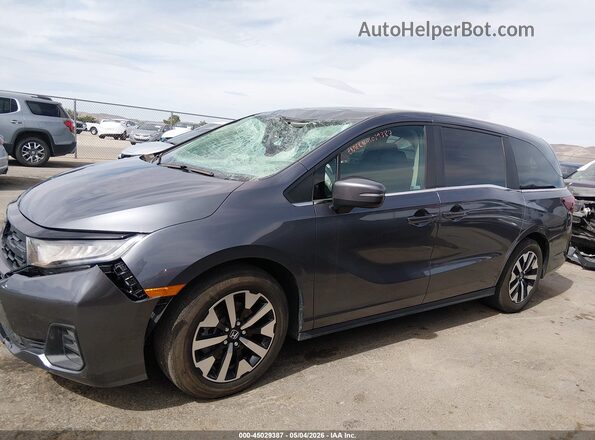 5FNRL6H67SB074000 2025 HONDA ODYSSEY Gray 