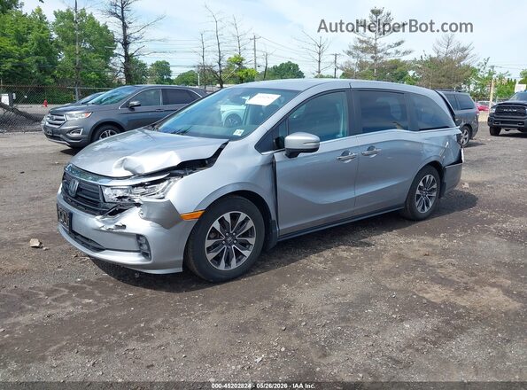 5FNRL6H6XPB071924 2023 HONDA ODYSSEY Silver Vista tres cuartos delantera izquierda