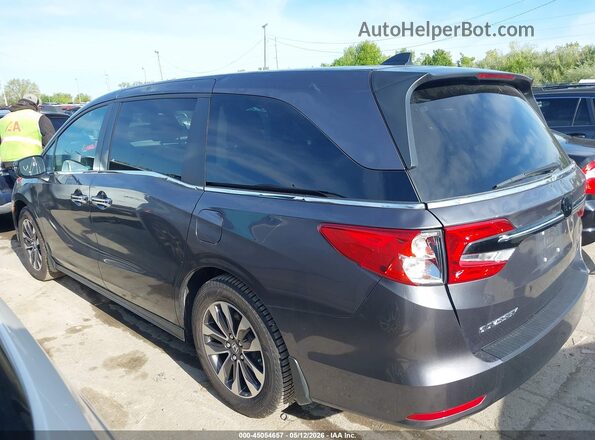 5FNRL6H6XRB007417 2024 HONDA ODYSSEY Gray სალონის 360-გრადუსიანი ხედი