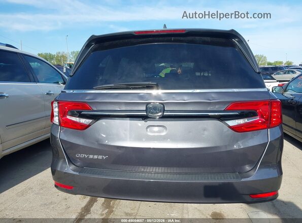 5FNRL6H6XRB007417 2024 HONDA ODYSSEY Gray 