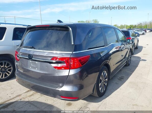 5FNRL6H6XRB007417 2024 HONDA ODYSSEY Gray უკანა მარჯვენა