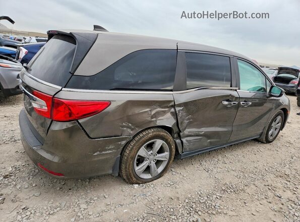 5FNRL6H70KB099247 2019 HONDA ODYSSEY Gray Задня права чверть