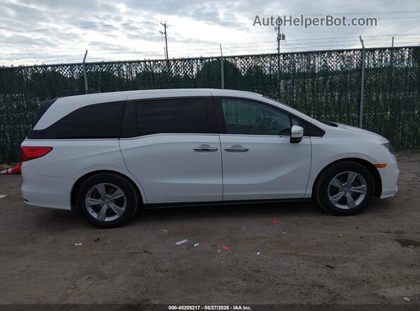 5FNRL6H70LB016272 2020 HONDA ODYSSEY White Սալոնի հետևի տեսք