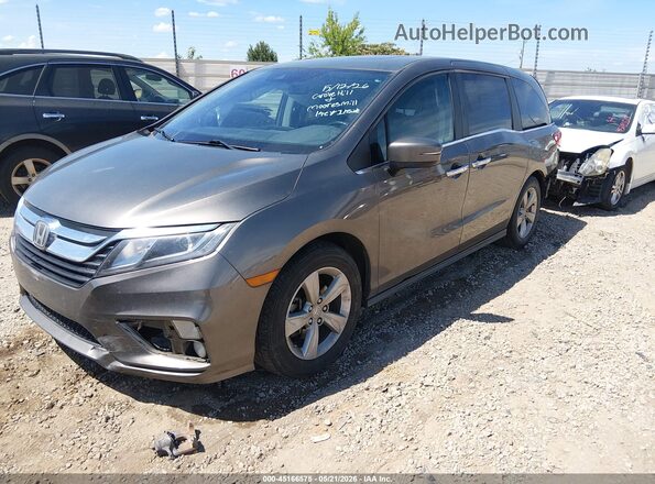 5FNRL6H72KB026638 2019 HONDA ODYSSEY Серый 