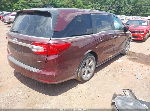 5FNRL6H73KB030181 2019 HONDA ODYSSEY Burgundy უკანა მარჯვენა