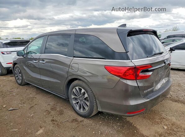 5FNRL6H73NB011828 2022 HONDA ODYSSEY Серый Задняя левая четверть