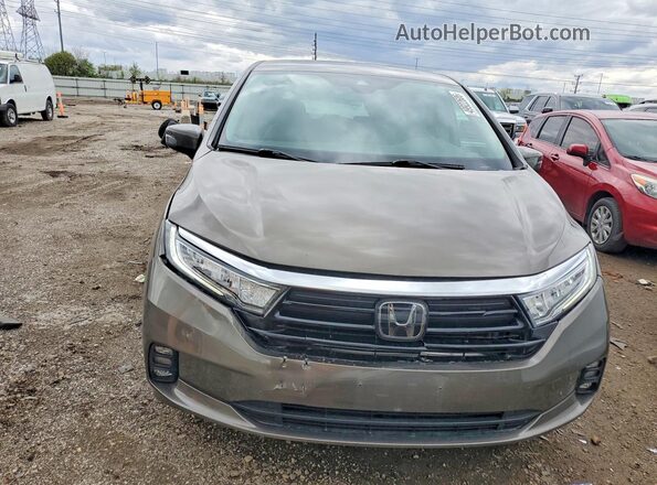 5FNRL6H73NB011828 2022 HONDA ODYSSEY Серый Вид спереди
