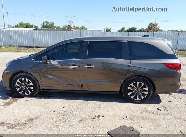 5FNRL6H74NB033787 2022 HONDA ODYSSEY Gray Widok wnętrza 360 stopni